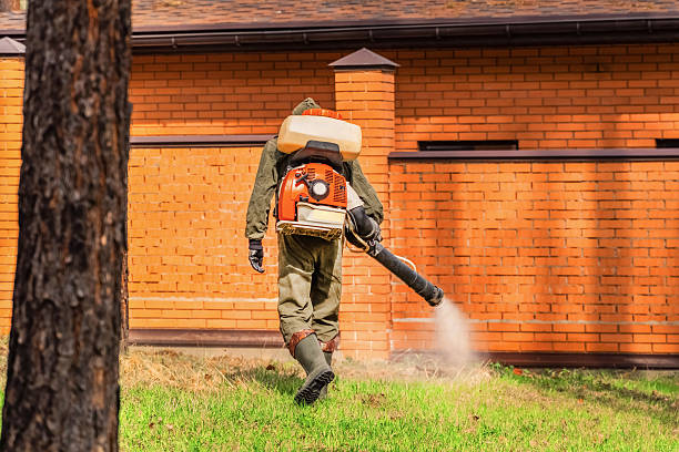 Trusted Cockroach Control service in Waikele, HI - Nex Pest Control